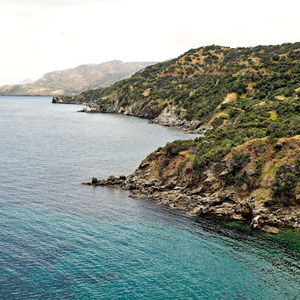 Meet your Posher, Alexander